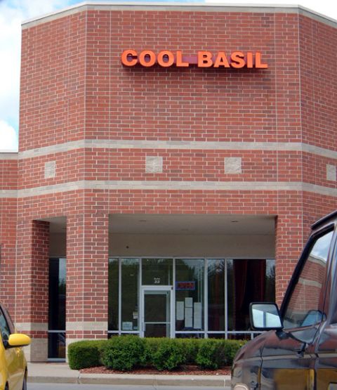 cool basil