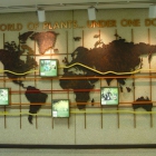 A World of Plants... Under One Dome